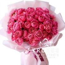 peonveidīgas krūmrozes