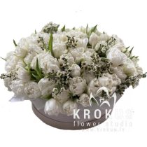 Vip tulpes maigā mīla