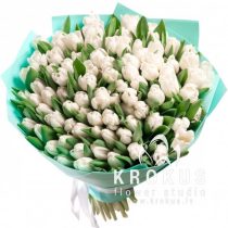 Big Bouquet of Tulips