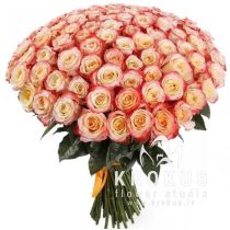 DIVKRĀSAINO ROŽU PUŠĶIS 50cm