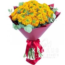 Ranunculus Pon-pon Merlino