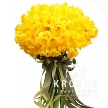 101 narcise  SUPER CENA!!!