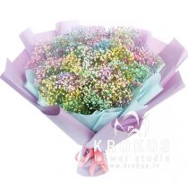 Varavīksnes krāsu gipsofila