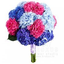 Bouquet of hydrangeas "Planet"