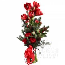 Winter composition with amaryllis