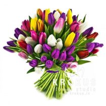 Bouquet of colorful tulips