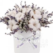 The composition of cotton