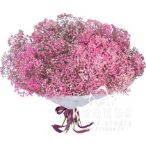Bouquet of pink gypsophila