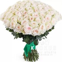 Smaržīgas peonveidīgas rozes