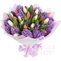 TULPJU MIX AR HIACINTEM