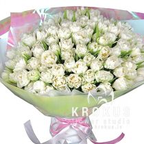 101 Peonijveida tulpe