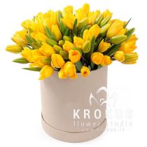 yellow tulip in a box