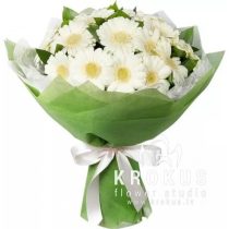 Balts mini gerberu pušķis