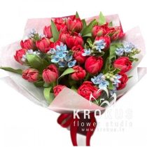 BOUQUET OF PION-SHAPED TULIPS WITH OXYPETALUM