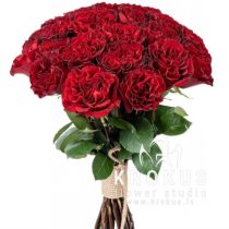 Sarkanas peonijveida rozes