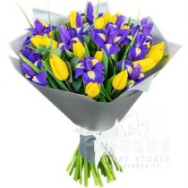 Bouquet of irises and yellow tulips