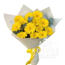 Dzelteno germini pušķis