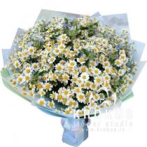 Bouquet of daisies and forget-me-nots