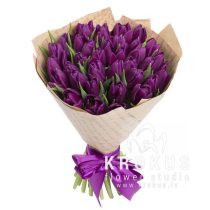 Pušķis no lillā tulpēm