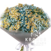 Zilas ģipsofilas pušķis ar margrietiņām