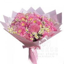 Asteres ar margrietiņām