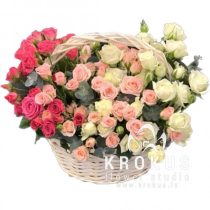 Grozs “Sirds maigums”