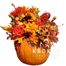 explosion of colors in a pumpkin