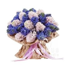 Bouquet of hiacintes