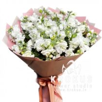 Ароматная Маттиола