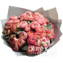 Pink ranunculus