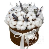 KOKVILNAS KOMPOZĪCIJA