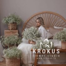 Sets ''Sniegbalts Divo''