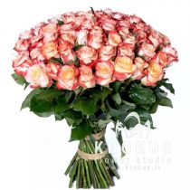 Divkrāsu rozes 40cm