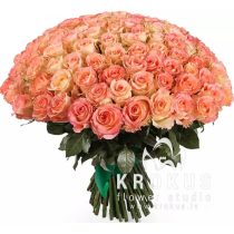 101 roze Duet Classic SUPER CENA!