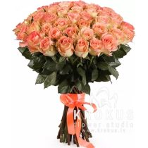 51  roze Duet Classic SUPER CENA