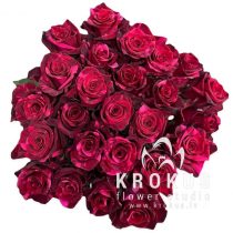 Rozes Red Panther 50cm