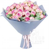 Krūmrozes Mimi Eden