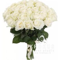 Baltas rozes XXL 60cm