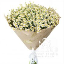 Margrietiņu pušķis