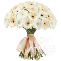 Gerberu pušķis ''Pērle''