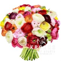 Bouquet of Ranunculus