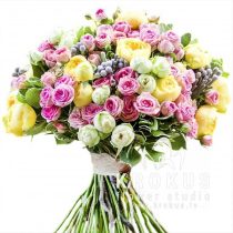 Peonijveida krūmrožu puškis