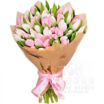 Baltā un rozā tulpe