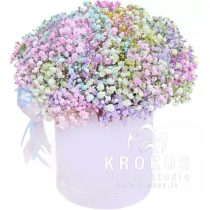 Kоробочка с гипсофилой