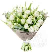 Baltas peonijveida tulpes