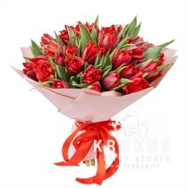 Latvian peony tulips