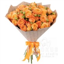 aprikožu krūmrozes