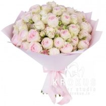 Mansfield Park VIP Roses