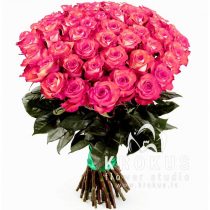 Divkrāsu rozes 70cm