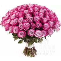 Rozes ''Deep Purple'' 60cm